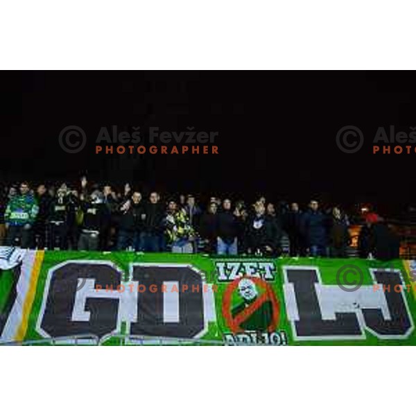 Fans during ice hockey match of Ice Fest HDD Telemach Olimpija vs. SIJ Acroni Jesenice, played in Trg Republike, Ljubljana, Slovenia, on December 18, 2014