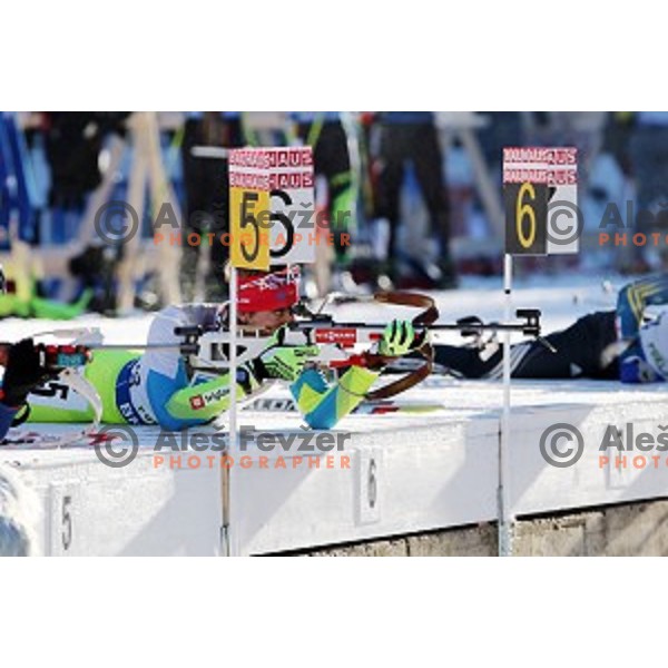 Lenart Oblak during BMW IBU World Cup Biathlon Men 10 km sprint at Pokljuka, Slovenia on December 19, 2014