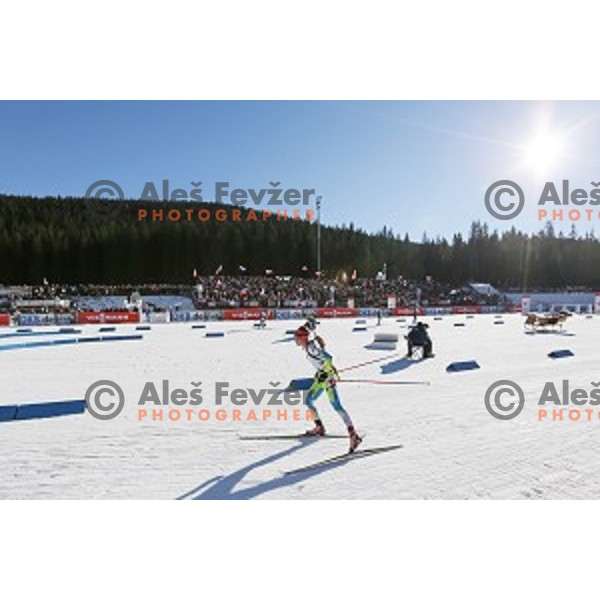 BMW IBU World Cup Biathlon, Pokljuka, December 2014