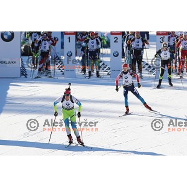 BMW IBU World Cup Biathlon, Pokljuka, December 2014