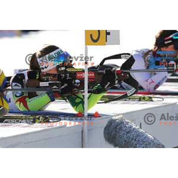 Darya Domracheva (BLR) during BMW IBU World Cup Biathlon, Women 10km pursuit, Pokljuka, Slovenia, December 20, 2014