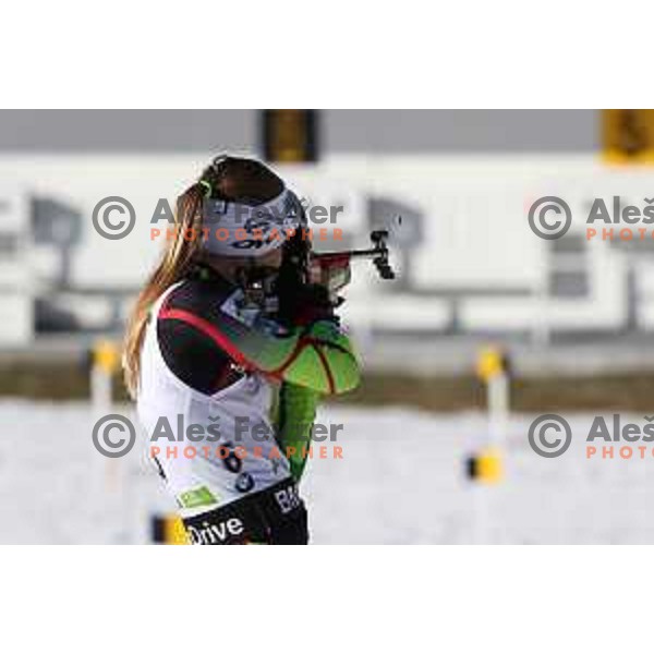 BMW IBU World Cup Biathlon, Pokljuka, December 2014