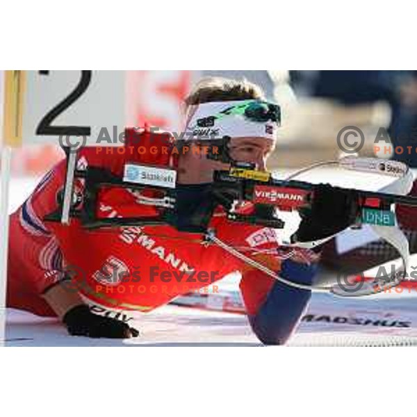 Emil Hegle Svendsen (NOR) during BMW IBU World Cup Biathlon, Men 12.5km pursuit, Pokljuka, Slovenia, December 20, 2014