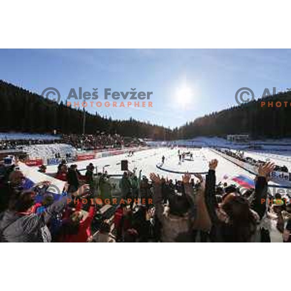 BMW IBU World Cup Biathlon, Pokljuka, December 2014