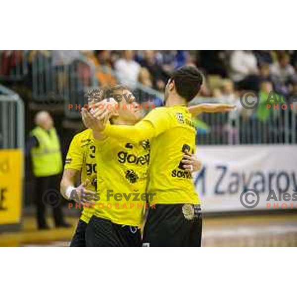 in action during RK Maribor - RK Velenje Gorenje handball match, played in Tabor hall, Maribor on 20.12.2014