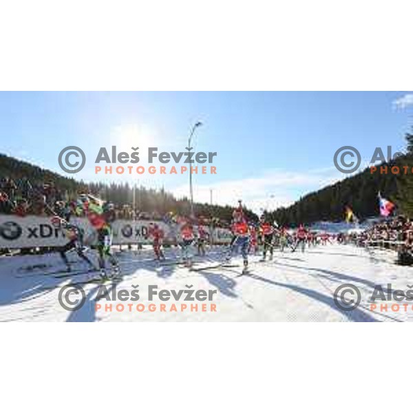 BMW IBU World Cup Biathlon, Pokljuka, December 2014