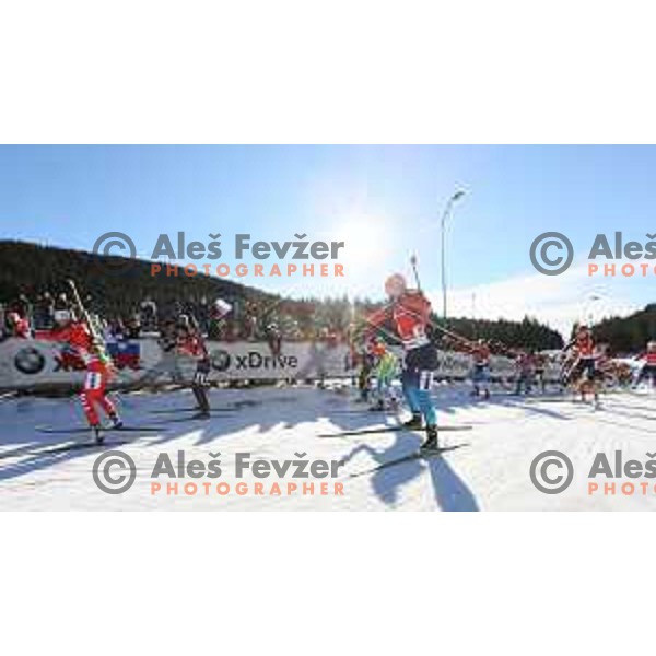 Teja Gregorin (SLO) during BMW IBU World Cup Biathlon, Women Mass Start 12.5km, Pokljuka, Slovenia, December 21, 2014 