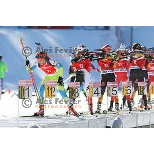 Teja Gregorin (SLO) during BMW IBU World Cup Biathlon, Women Mass Start 12.5km, Pokljuka, Slovenia, December 21, 2014 