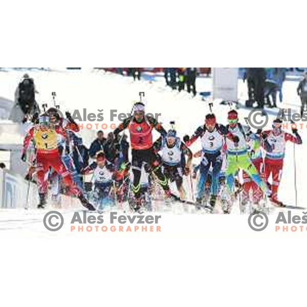 BMW IBU World Cup Biathlon, Pokljuka, December 2014