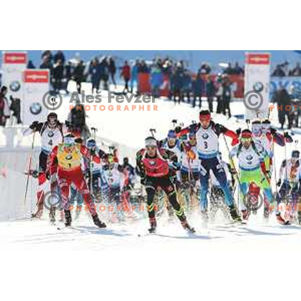 BMW IBU World Cup Biathlon, Pokljuka, December 2014