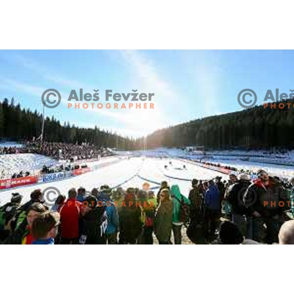 BMW IBU World Cup Biathlon, Pokljuka, December 2014