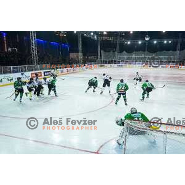 Action during ice hockey match of Ice Fest-30th round of EBEL League in Season 2014/15 between HDD Telemach Olimpija and EC Dornbirn, played in Trg republike, Ljubljana, Slovenia, on December 23, 2014