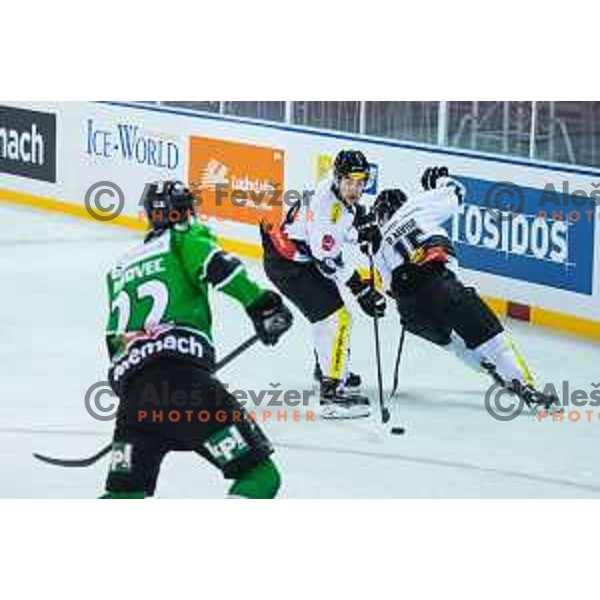 Jamie Arniel of Dornbirn in action during ice hockey match of Ice Fest-30th round of EBEL League in Season 2014/15 between HDD Telemach Olimpija and EC Dornbirn, played in Trg republike, Ljubljana, Slovenia, on December 23, 2014