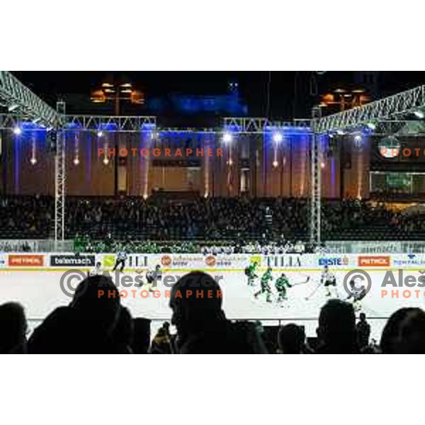 Action during ice hockey match of Ice Fest-30th round of EBEL League in Season 2014/15 between HDD Telemach Olimpija and EC Dornbirn, played in Trg republike, Ljubljana, Slovenia, on December 23, 2014