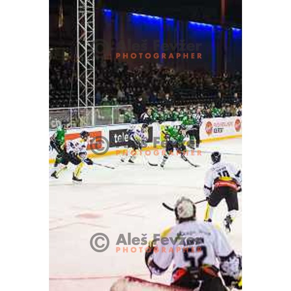 Action during ice hockey match of Ice Fest-30th round of EBEL League in Season 2014/15 between HDD Telemach Olimpija and EC Dornbirn, played in Trg republike, Ljubljana, Slovenia, on December 23, 2014