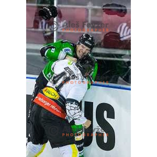 Bostjan Groznik of olimpija and Guillaume Desbiens of Dornbirn in action during ice hockey match of Ice Fest-30th round of EBEL League in Season 2014/15 between HDD Telemach Olimpija and EC Dornbirn, played in Trg republike, Ljubljana, Slovenia, on December 23, 2014