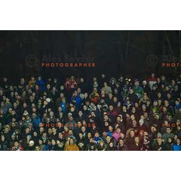 Spectators during ice hockey match of Ice Fest-30th round of EBEL League in Season 2014/15 between HDD Telemach Olimpija and EC Dornbirn, played in Trg republike, Ljubljana, Slovenia, on December 23, 2014