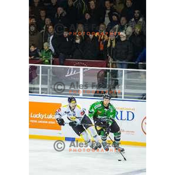 Gregor Koblar of Olimpija in action during ice hockey match of Ice Fest-30th round of EBEL League in Season 2014/15 between HDD Telemach Olimpija and EC Dornbirn, played in Trg republike, Ljubljana, Slovenia, on December 23, 2014