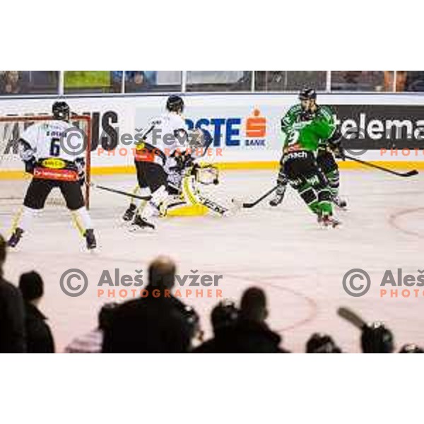 Action during ice hockey match of Ice Fest-30th round of EBEL League in Season 2014/15 between HDD Telemach Olimpija and EC Dornbirn, played in Trg republike, Ljubljana, Slovenia, on December 23, 2014