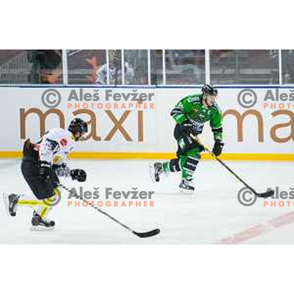 Ales Music of Olimpija in action during ice hockey match of Ice Fest-30th round of EBEL League in Season 2014/15 between HDD Telemach Olimpija and EC Dornbirn, played in Trg republike, Ljubljana, Slovenia, on December 23, 2014