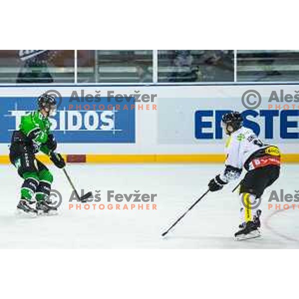 Action during ice hockey match of Ice Fest-30th round of EBEL League in Season 2014/15 between HDD Telemach Olimpija and EC Dornbirn, played in Trg republike, Ljubljana, Slovenia, on December 23, 2014
