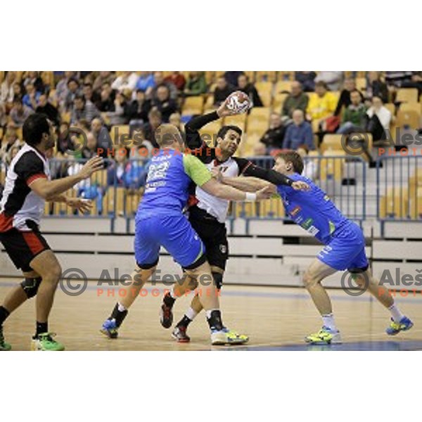 of Slovenia in action during friendly handball match Slovenia-Egypt , played in Zlatorog Hall, Celje, Slovenia on December 27,2014