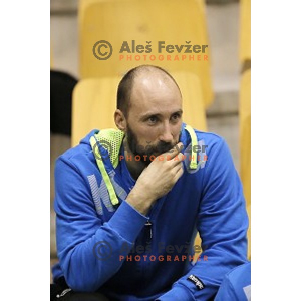 Vid Kavticnik of Slovenia in action during friendly handball match Slovenia-Egypt , played in Zlatorog Hall, Celje, Slovenia on December 27,2014