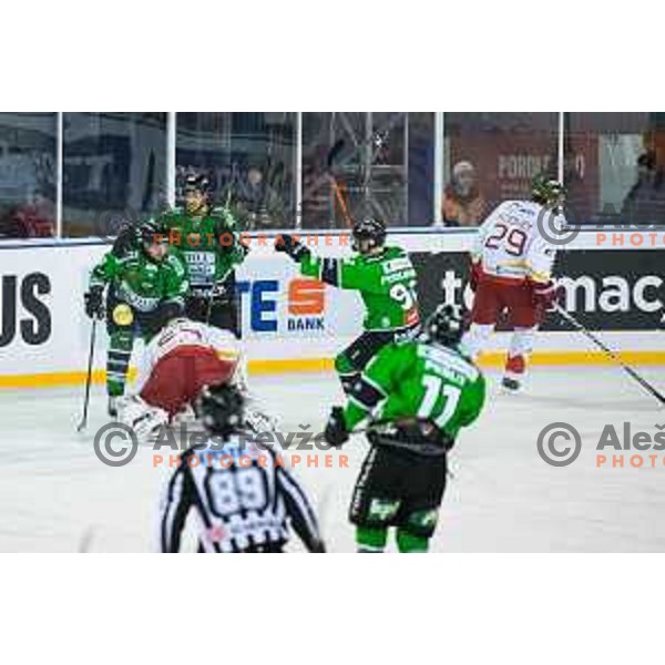 Team Olimpija in action during ice hockey match of Ice Fest-32th round of EBEL League in Season 2014/15 between HDD Telemach Olimpija and HC Bolzano, played in Trg republike, Ljubljana, Slovenia, on December 28, 2014