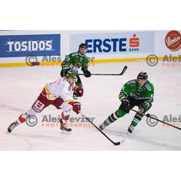 Bostjan Groznik of Olimpija in action during ice hockey match of Ice Fest-32th round of EBEL League in Season 2014/15 between HDD Telemach Olimpija and HC Bolzano, played in Trg republike, Ljubljana, Slovenia, on December 28, 2014