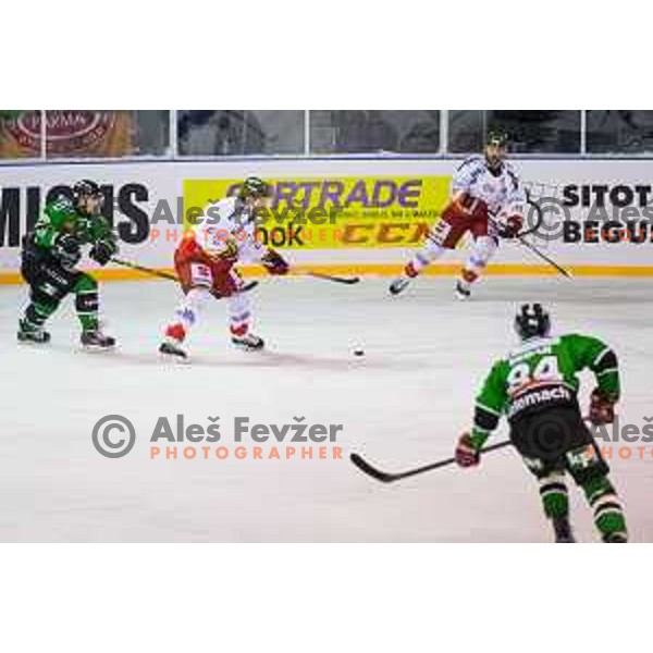 Rodney Bryan of Bolzano in action during ice hockey match of Ice Fest-32th round of EBEL League in Season 2014/15 between HDD Telemach Olimpija and HC Bolzano, played in Trg republike, Ljubljana, Slovenia, on December 28, 2014