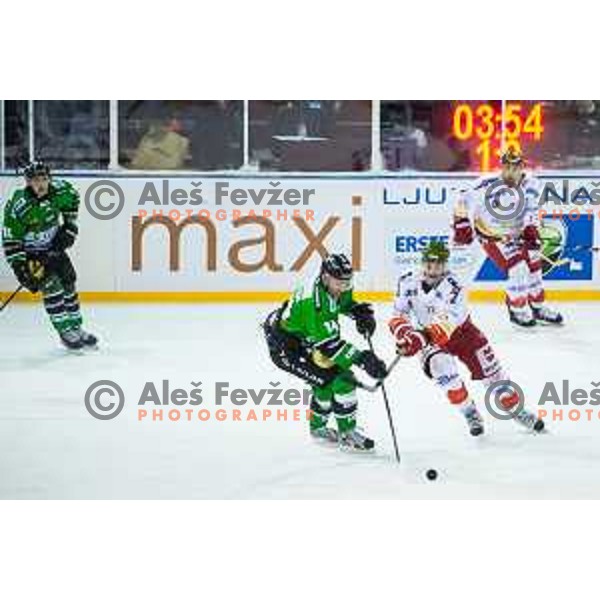 Matej Hocevar of Olimpijaand DeSimone Philip of Bolzano in action during ice hockey match of Ice Fest-32th round of EBEL League in Season 2014/15 between HDD Telemach Olimpija and HC Bolzano, played in Trg republike, Ljubljana, Slovenia, on December 28, 2014