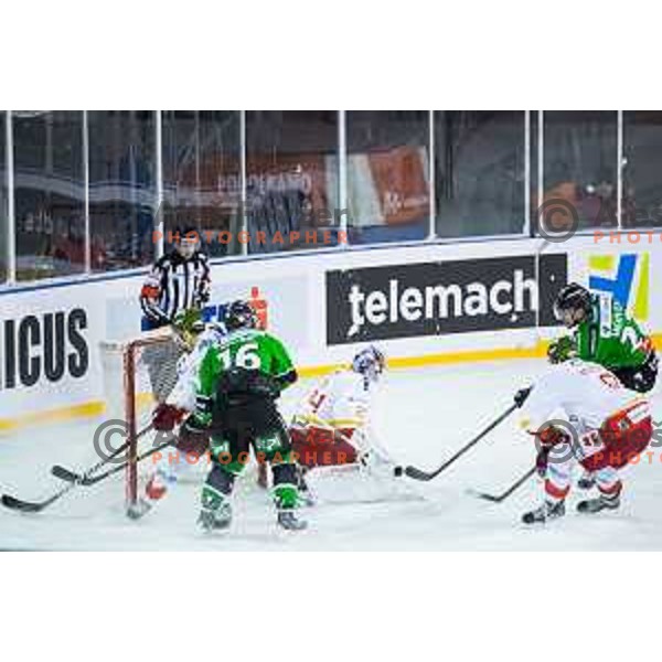 Action during ice hockey match of Ice Fest-32th round of EBEL League in Season 2014/15 between HDD Telemach Olimpija and HC Bolzano, played in Trg republike, Ljubljana, Slovenia, on December 28, 2014