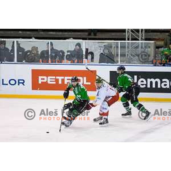 Gregor Koblar of Olimpija in action during ice hockey match of Ice Fest-32th round of EBEL League in Season 2014/15 between HDD Telemach Olimpija and HC Bolzano, played in Trg republike, Ljubljana, Slovenia, on December 28, 2014