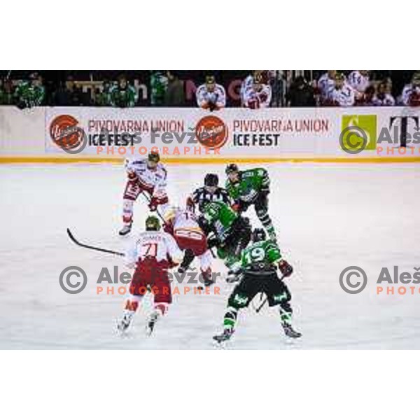 Action during ice hockey match of Ice Fest-32th round of EBEL League in Season 2014/15 between HDD Telemach Olimpija and HC Bolzano, played in Trg republike, Ljubljana, Slovenia, on December 28, 2014