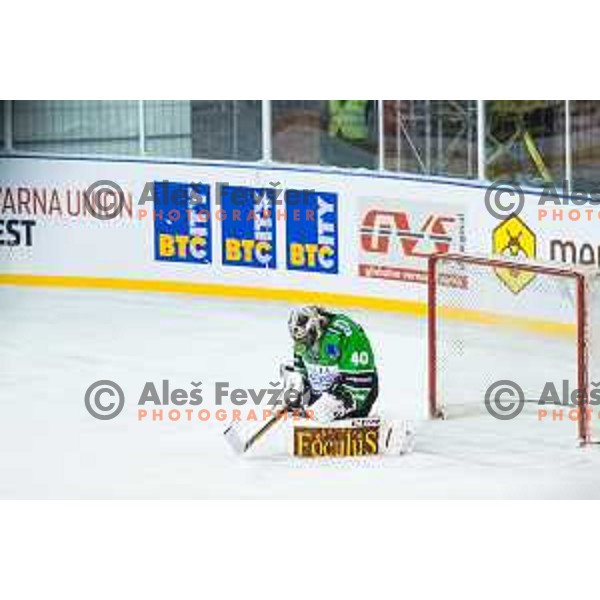 Andy Chiodo of Olimpija in action during ice hockey match of Ice Fest-32th round of EBEL League in Season 2014/15 between HDD Telemach Olimpija and HC Bolzano, played in Trg republike, Ljubljana, Slovenia, on December 28, 2014