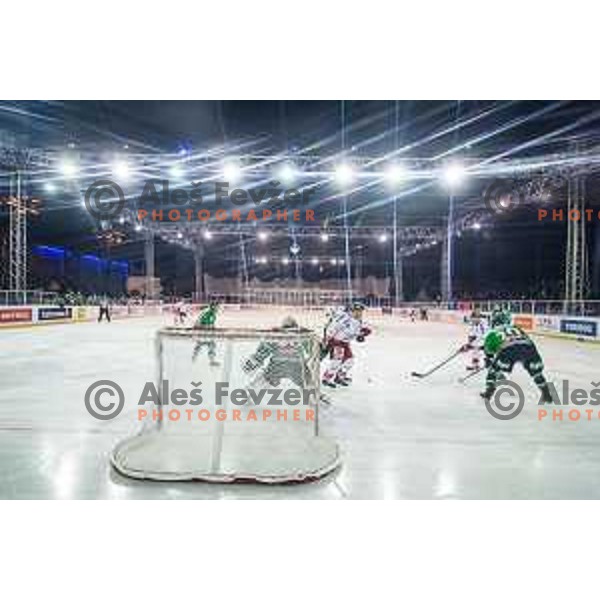 Action during ice hockey match of Ice Fest-32th round of EBEL League in Season 2014/15 between HDD Telemach Olimpija and HC Bolzano, played in Trg republike, Ljubljana, Slovenia, on December 28, 2014