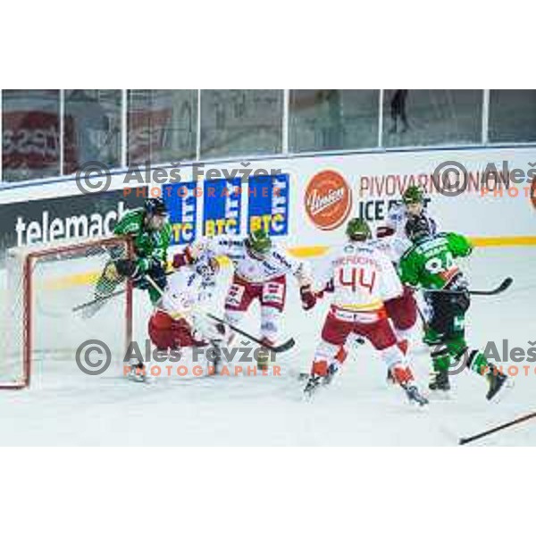Kyle Medvec of Olimpija and Zisser Stefan of Bolzano in action during ice hockey match of Ice Fest-32th round of EBEL League in Season 2014/15 between HDD Telemach Olimpija and HC Bolzano, played in Trg republike, Ljubljana, Slovenia, on December 28, 2014
