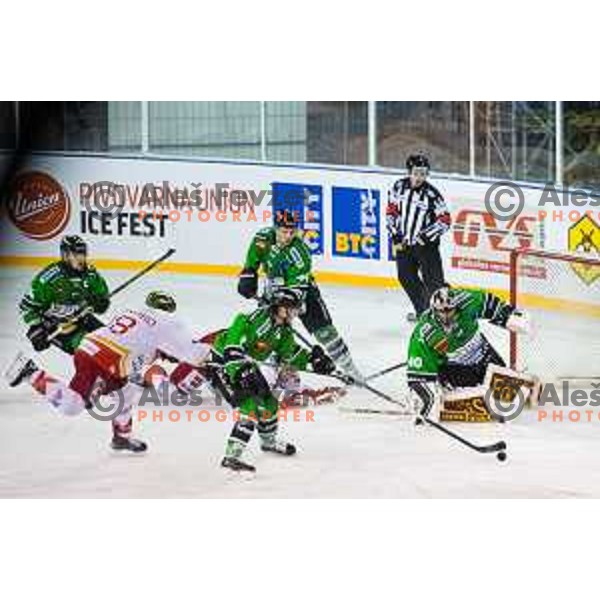 Marvin Degon and Andy Chiodo of Olimpija in action during ice hockey match of Ice Fest-32th round of EBEL League in Season 2014/15 between HDD Telemach Olimpija and HC Bolzano, played in Trg republike, Ljubljana, Slovenia, on December 28, 2014