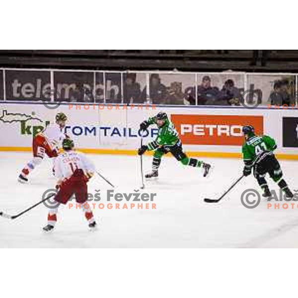 Matic Podlipnik of Olimpija in action during ice hockey match of Ice Fest-32th round of EBEL League in Season 2014/15 between HDD Telemach Olimpija and HC Bolzano, played in Trg republike, Ljubljana, Slovenia, on December 28, 2014