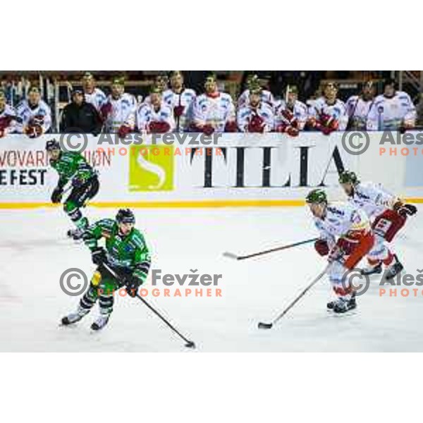 Matic Podlipnik of Olimpija in action during ice hockey match of Ice Fest-32th round of EBEL League in Season 2014/15 between HDD Telemach Olimpija and HC Bolzano, played in Trg republike, Ljubljana, Slovenia, on December 28, 2014