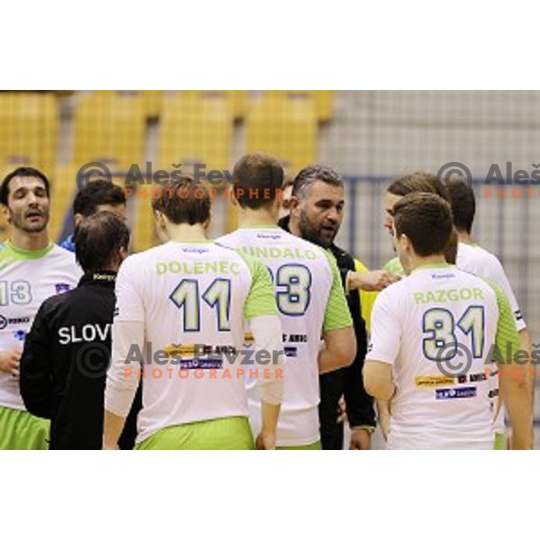 Boris Denic of Slovenia in action during friendly handball match Slovenia-Algeria , played in Zlatorog Hall, Celje, Slovenia on December 28,2014