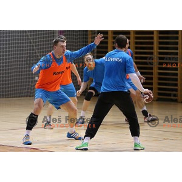 of Slovenia in action during practice session in Zrece Sports Hall on January 2, 2015