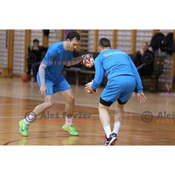 Jure Natek of Slovenia in action during practice session in Zrece Sports Hall on January 2, 2015