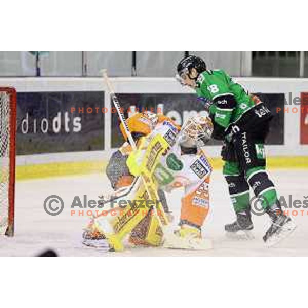 of Telemach Olimpija in action during Telemach league ice-hockey match Telemach Olimpija-Graz 99ers in Tivoli Hall, Ljubljana, Slovenia on January 6,2015