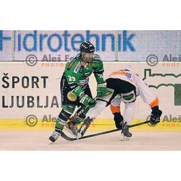 Anze Ropret of Telemach Olimpija in action during Telemach league ice-hockey match Telemach Olimpija-Graz 99ers in Tivoli Hall, Ljubljana, Slovenia on January 6,2015