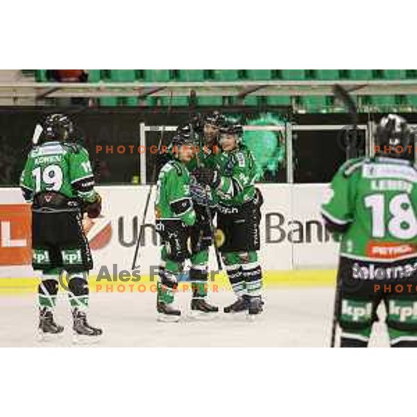 of Telemach Olimpija in action during Telemach league ice-hockey match Telemach Olimpija-Graz 99ers in Tivoli Hall, Ljubljana, Slovenia on January 6,2015