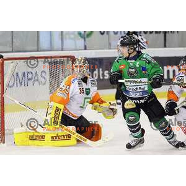 Ales Music of Telemach Olimpija in action during Telemach league ice-hockey match Telemach Olimpija-Graz 99ers in Tivoli Hall, Ljubljana, Slovenia on January 6,2015