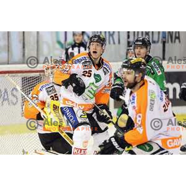 of Telemach Olimpija in action during Telemach league ice-hockey match Telemach Olimpija-Graz 99ers in Tivoli Hall, Ljubljana, Slovenia on January 6,2015