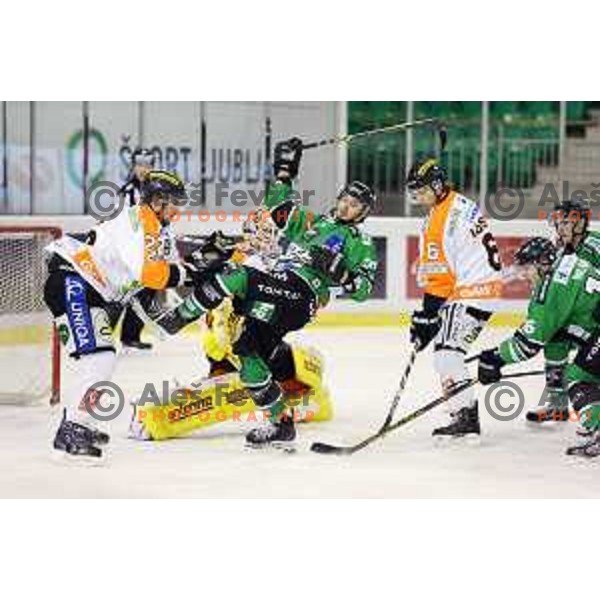 of Telemach Olimpija in action during Telemach league ice-hockey match Telemach Olimpija-Graz 99ers in Tivoli Hall, Ljubljana, Slovenia on January 6,2015