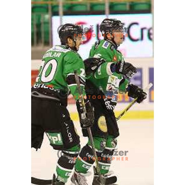 Ales Music of Telemach Olimpija in action during Telemach league ice-hockey match Telemach Olimpija-Graz 99ers in Tivoli Hall, Ljubljana, Slovenia on January 6,2015